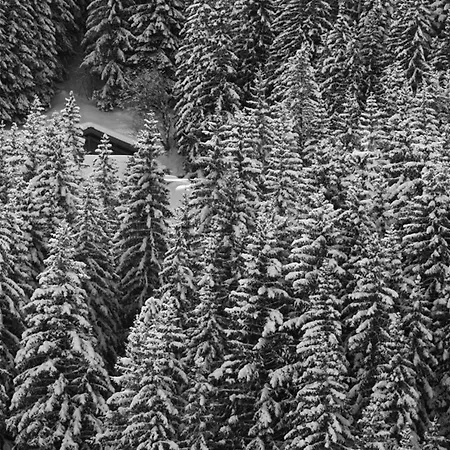 Chalet Route De Mottaret * Les Allues